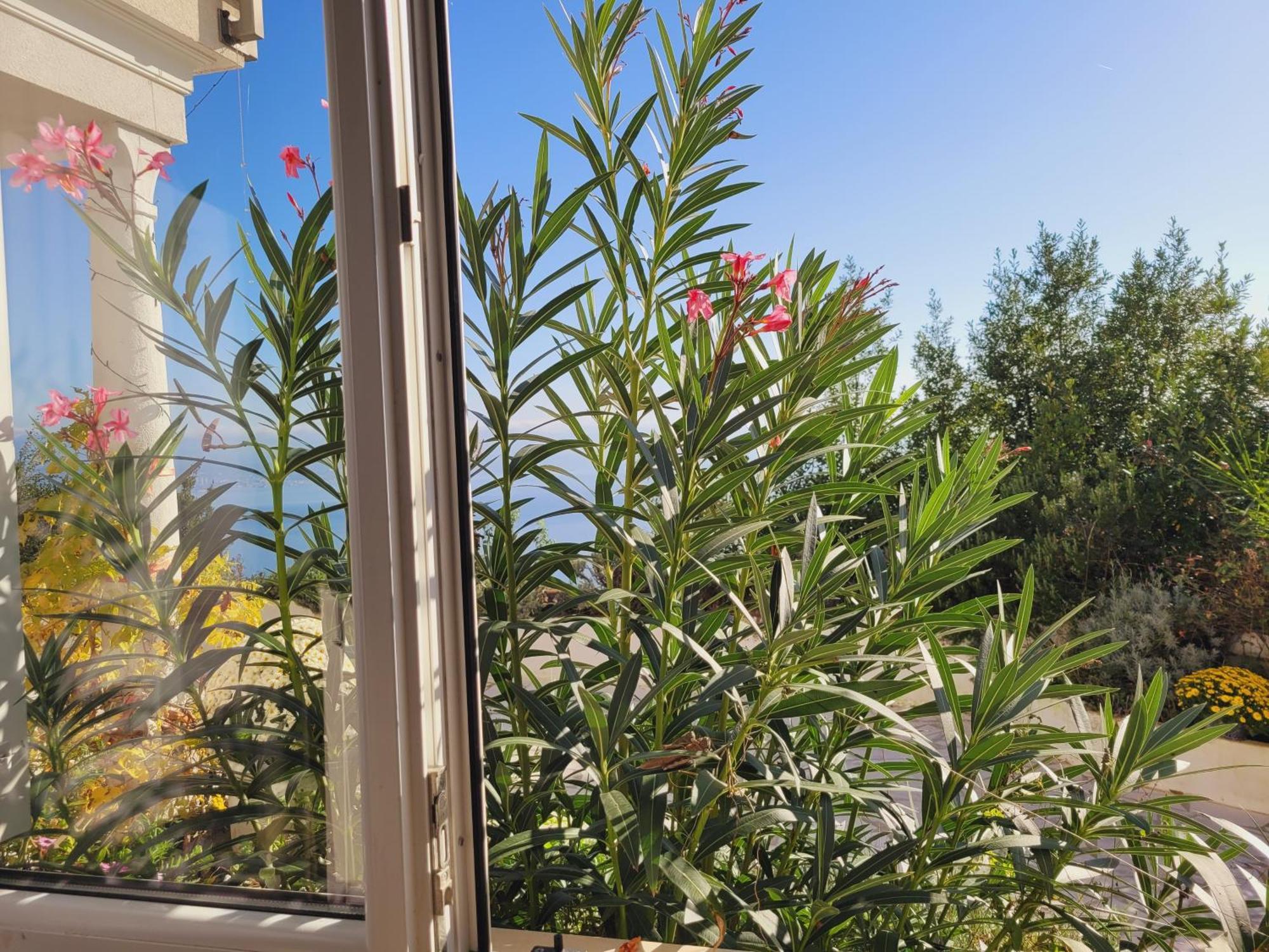 Apartments Chiara Mit Meerblick Und Pool Und Jacuzzi Lovran Exterior photo